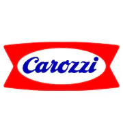 Logo carozzi xolertic group